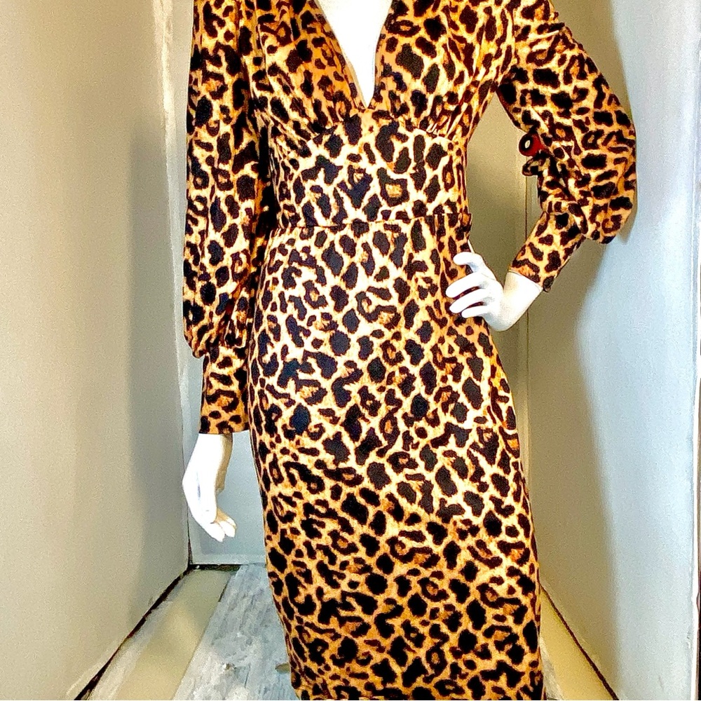 Leopard Print Long-Sleeve Midi Dress - Brown Animal
